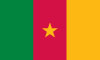 Cameroon Flag! Click to download!