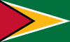 Guyana Printable Flag Picture